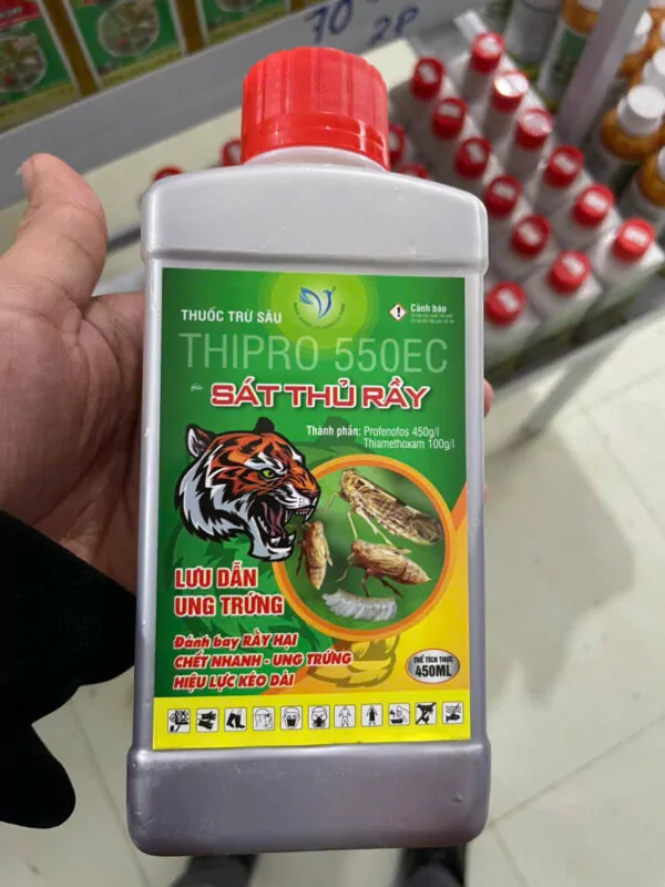9d94c8c2843730696926